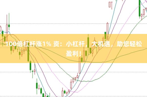 100倍杠杆涨1% 资：小杠杆，大机遇，助您轻松盈利！