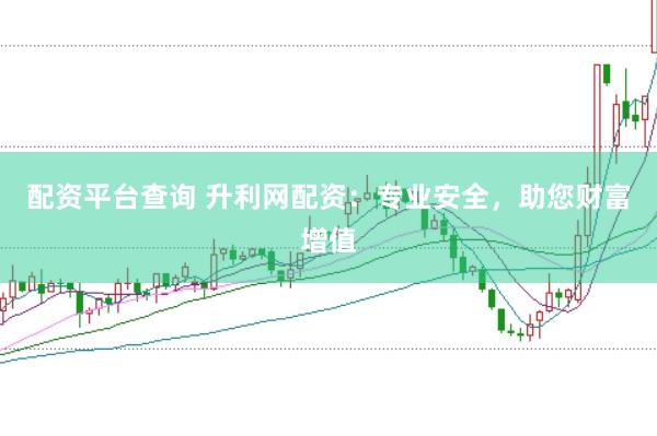 配资平台查询 升利网配资：专业安全，助您财富增值