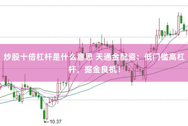 炒股十倍杠杆是什么意思 天通金配资：低门槛高杠杆，掘金良机！