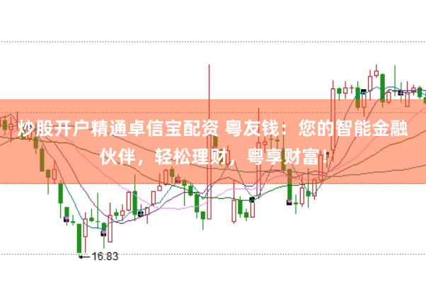 炒股开户精通卓信宝配资 粤友钱：您的智能金融伙伴，轻松理财，粤享财富！