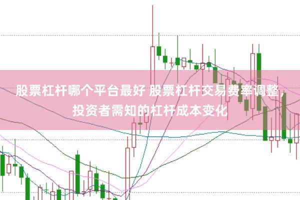 股票杠杆哪个平台最好 股票杠杆交易费率调整，投资者需知的杠杆成本变化