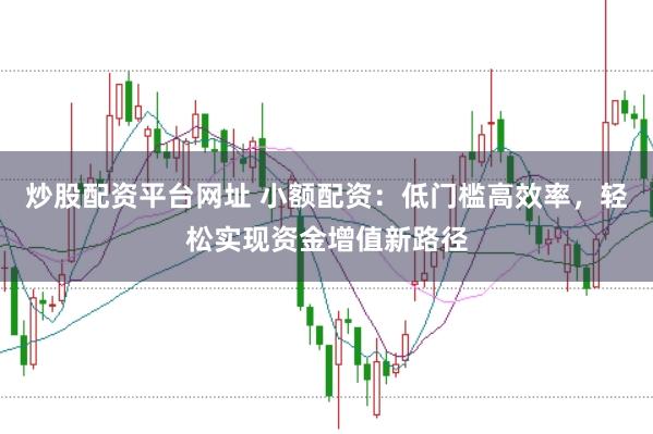 炒股配资平台网址 小额配资：低门槛高效率，轻松实现资金增值新路径