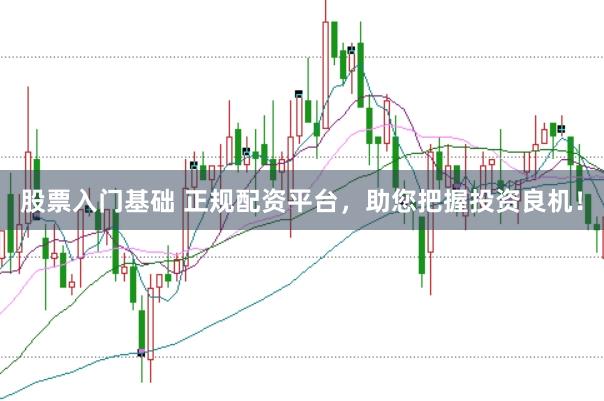 股票入门基础 正规配资平台，助您把握投资良机！