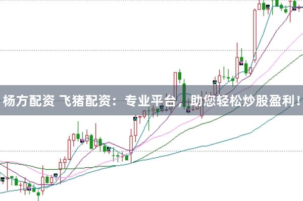 杨方配资 飞猪配资：专业平台，助您轻松炒股盈利！