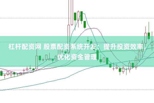 杠杆配资网 股票配资系统开发：提升投资效率，优化资金管理