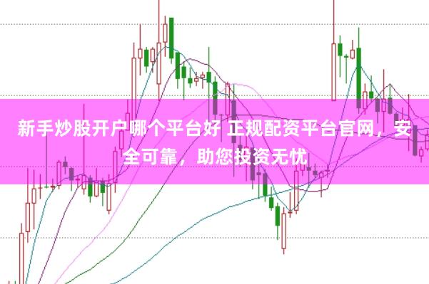 新手炒股开户哪个平台好 正规配资平台官网，安全可靠，助您投资无忧