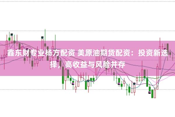 鑫东财专业杨方配资 美原油期货配资:投资新选择,高收益与风险并存